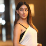 Namma Veettu Pillai Actress Anu Emmanuel Hot Photos In Saree