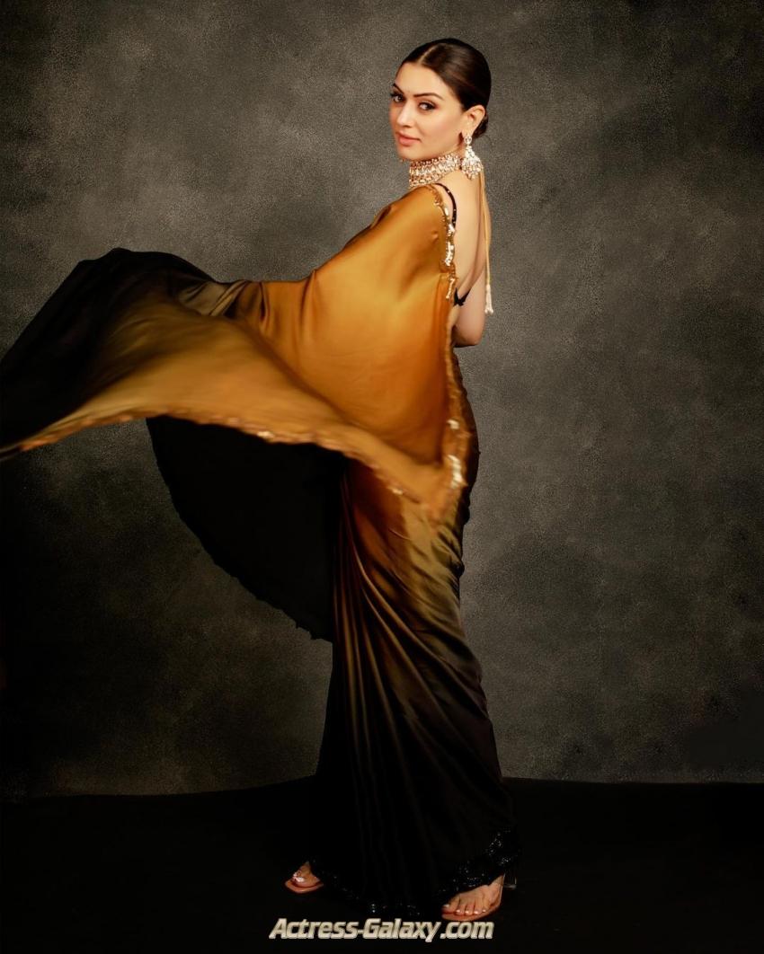 Hansika Motwani Stunning looks in saree